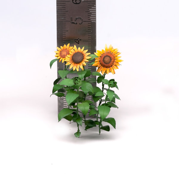 Sonnenblume, Größe M