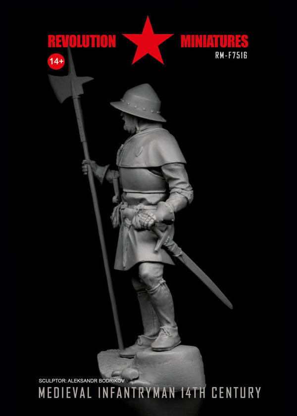 Medieval infantryman 14th century