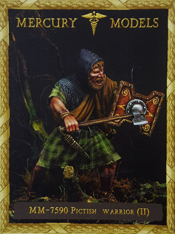 Pictish warrior (2)