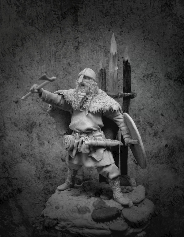 Viking warrior (Atley Crooked)