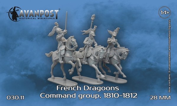 French Dragoons Command group, 1810-1812